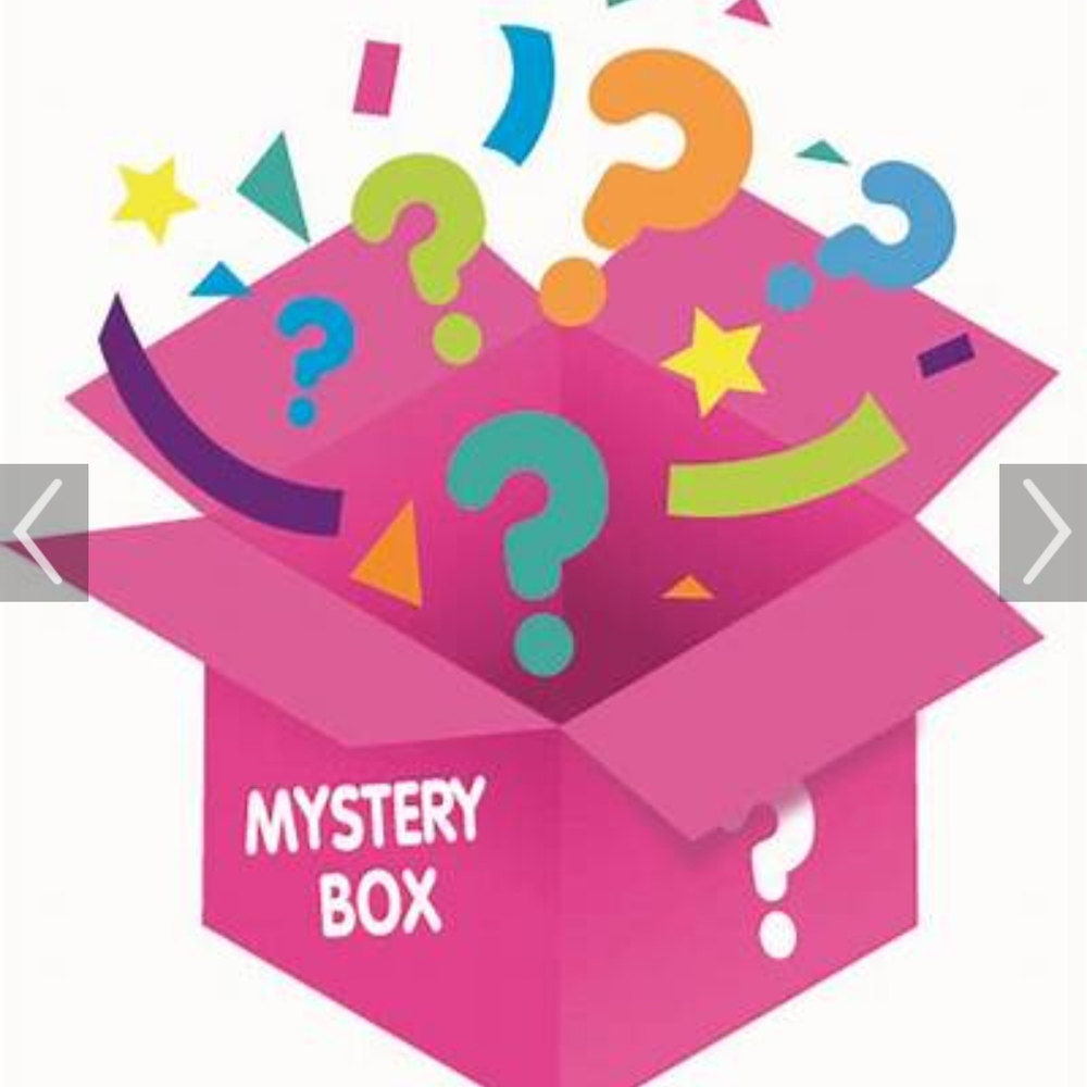 $50 Designer Bag MYSTERY BOX